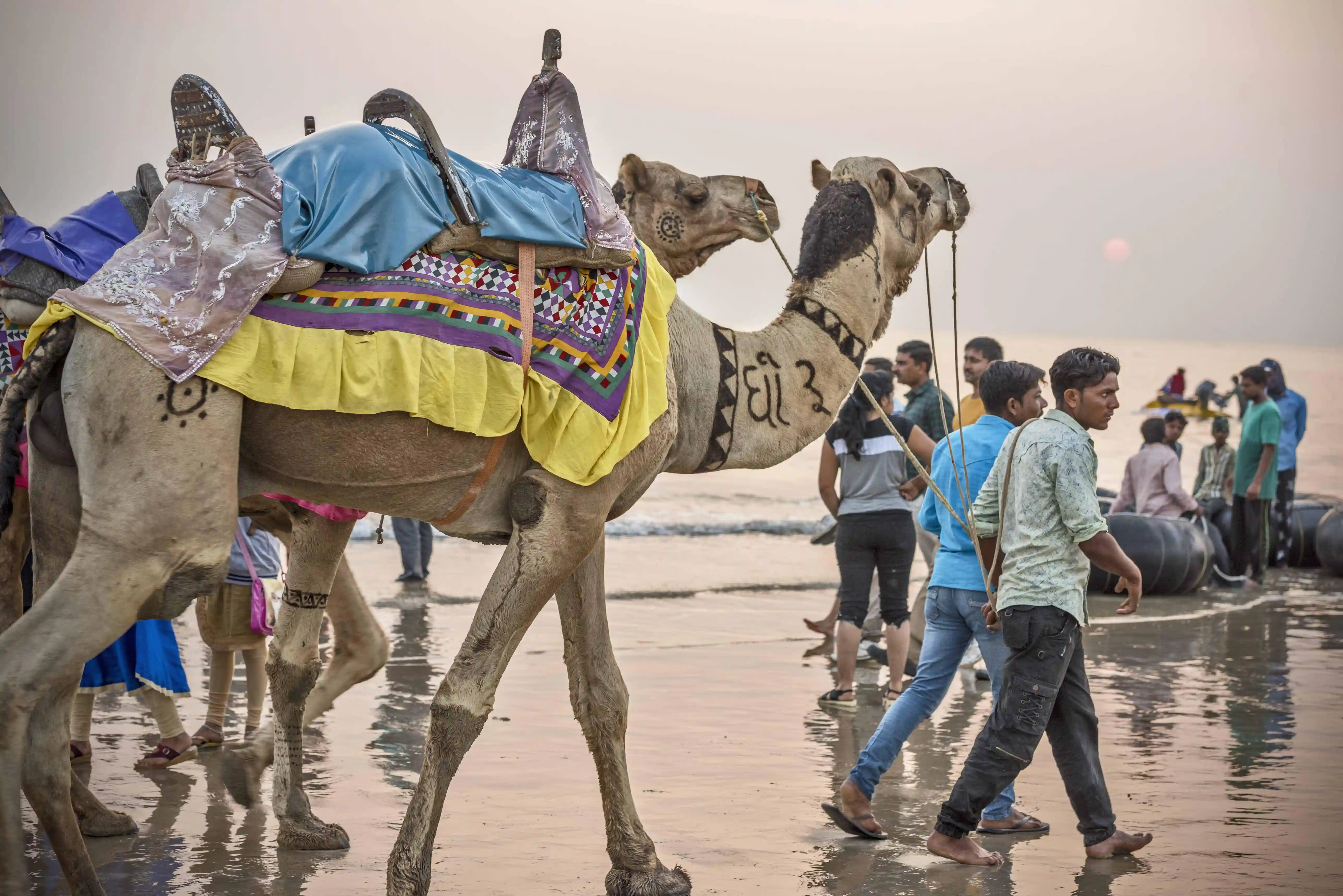 Mandvi Beach Gallery 1