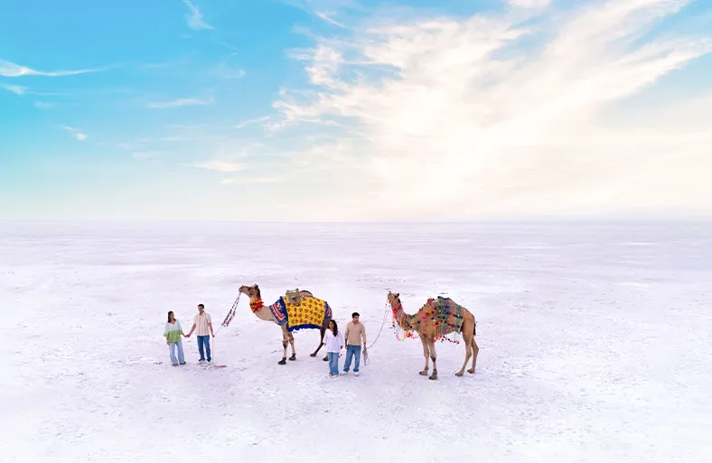 White Rann of Kutch Gallery 1