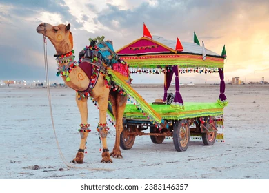 Camel Cart